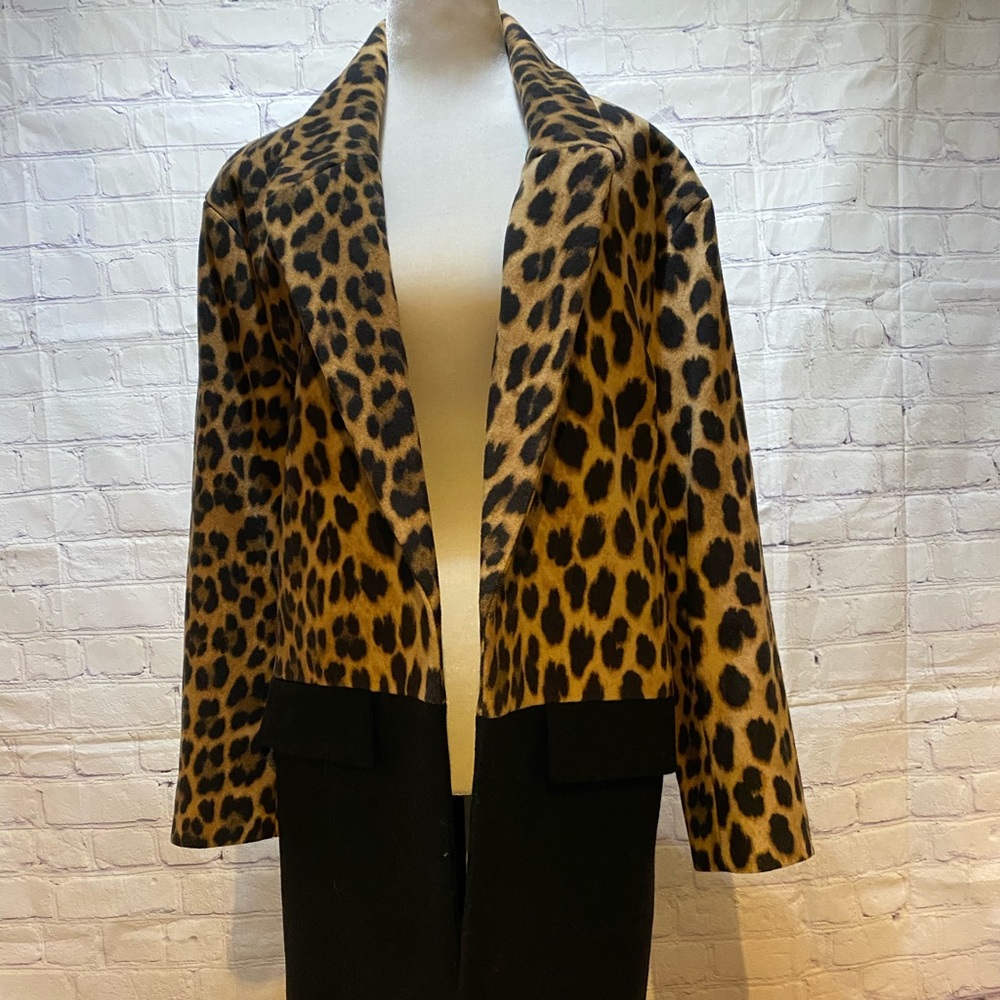 Zara Color blocked coat